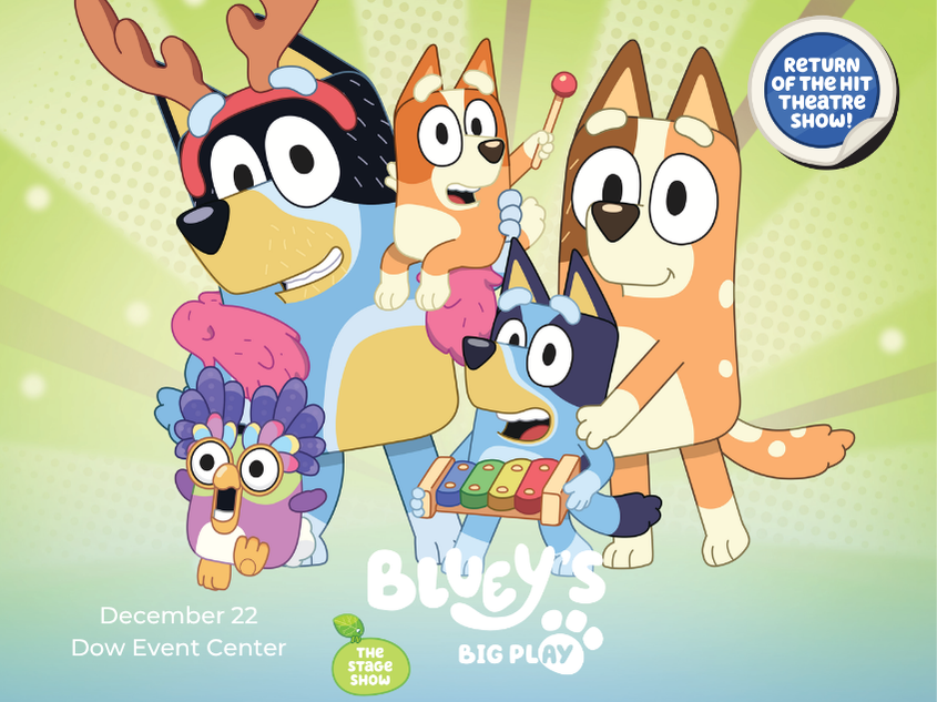 Bluey's Big Play